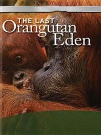 Последний рай орангутанов