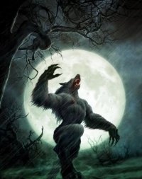 Волк: Тайна оборотня