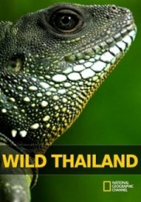 Дикая природа Таиланда