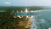 Дикая Шри Ланка