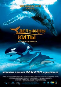 Дельфины и киты: Обитатели океана